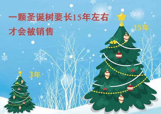 中國最早報道圣誕節(jié)的竟是《人民日報》，你不知道的10個圣誕小知識